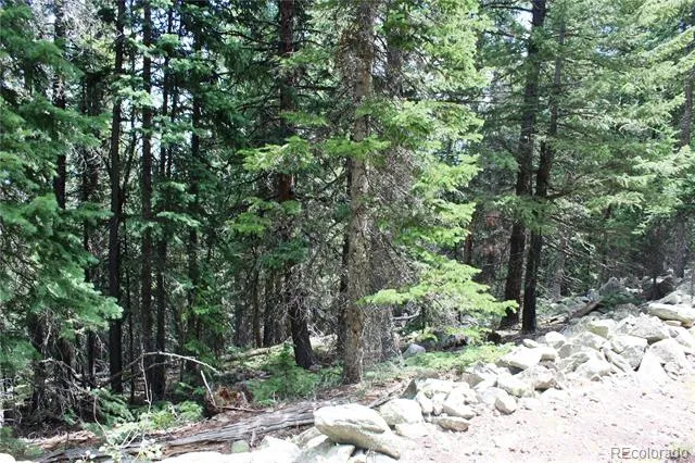 00 Hidden Wilderness Road Idaho Springs, CO 80452