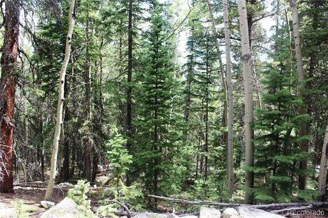 00 Hidden Wilderness Road Idaho Springs, CO 80452
