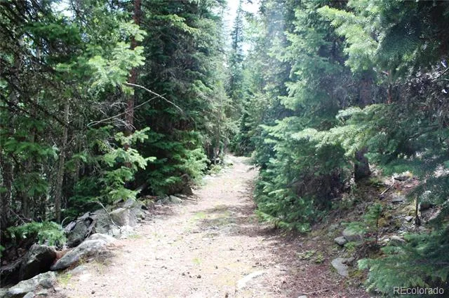 00 Hidden Wilderness Road Idaho Springs, CO 80452