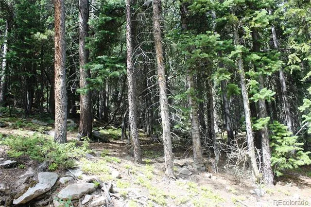 00 Hidden Wilderness Road Idaho Springs, CO 80452