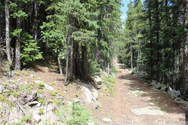 00 Hidden Wilderness Road Idaho Springs, CO 80452