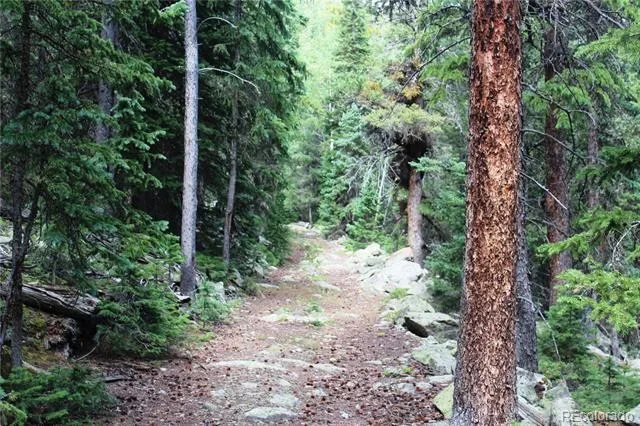 00 Hidden Wilderness Road Idaho Springs, CO 80452