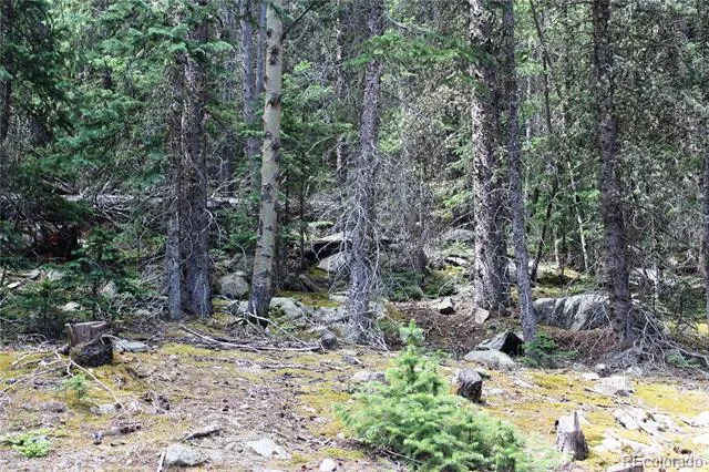 00 Hidden Wilderness Road Idaho Springs, CO 80452