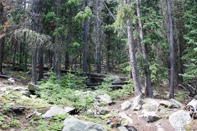 00 Hidden Wilderness Road Idaho Springs, CO 80452