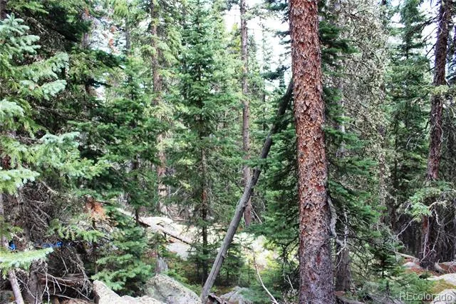 00 Hidden Wilderness Road Idaho Springs, CO 80452