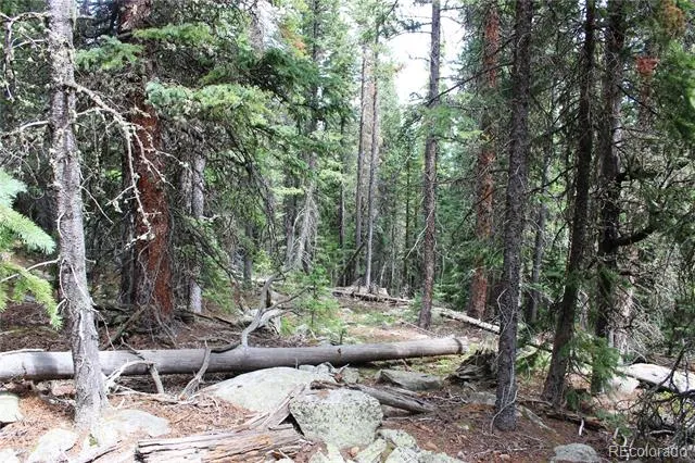 00 Hidden Wilderness Road Idaho Springs, CO 80452