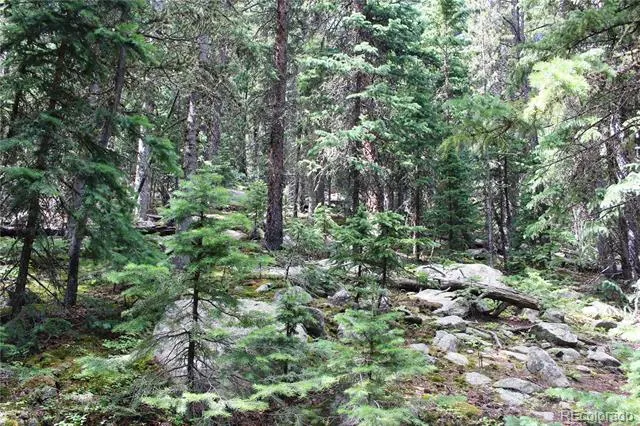 00 Hidden Wilderness Road Idaho Springs, CO 80452