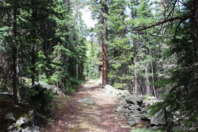 00 Hidden Wilderness Road Idaho Springs, CO 80452