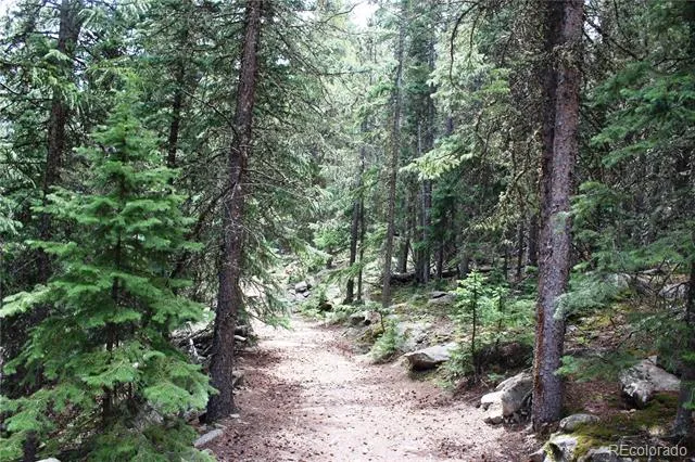 00 Hidden Wilderness Road Idaho Springs, CO 80452