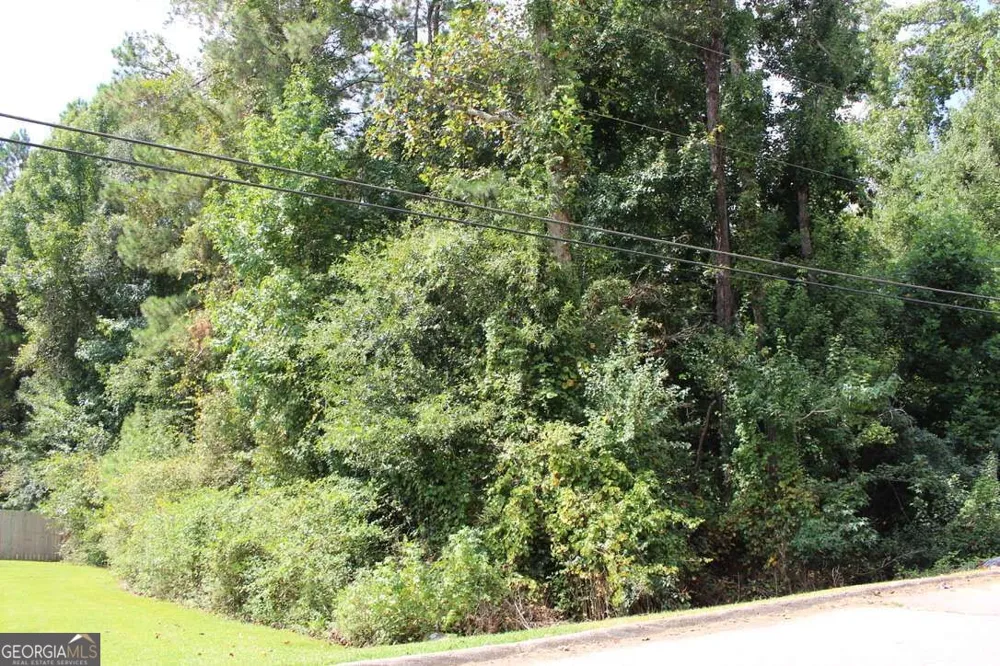 218 Ella DR Griffin, GA 30223