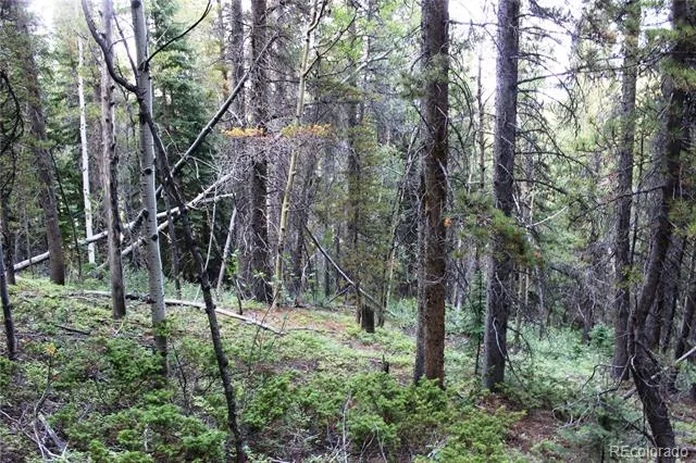5340 FS 718.1 Black Hawk, CO 80422
