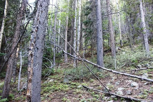 5340 FS 718.1 Black Hawk, CO 80422