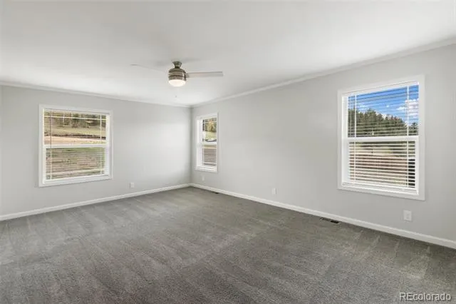 740 Crystal Peak Road Florissant, CO 80816