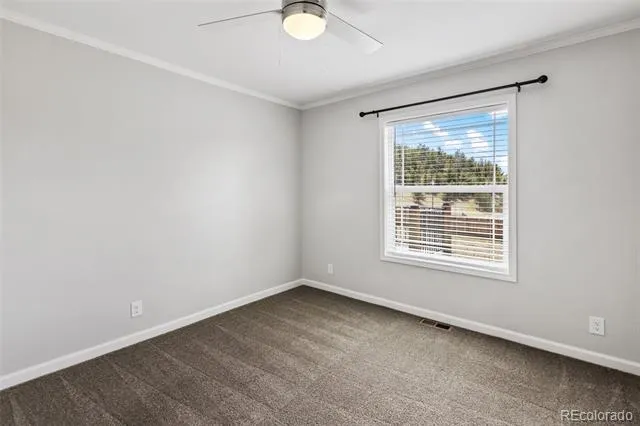 740 Crystal Peak Road Florissant, CO 80816