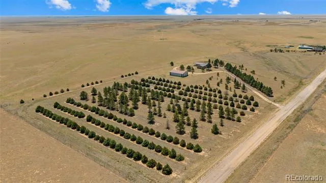 20402 County Road 2 Rush, CO 80833