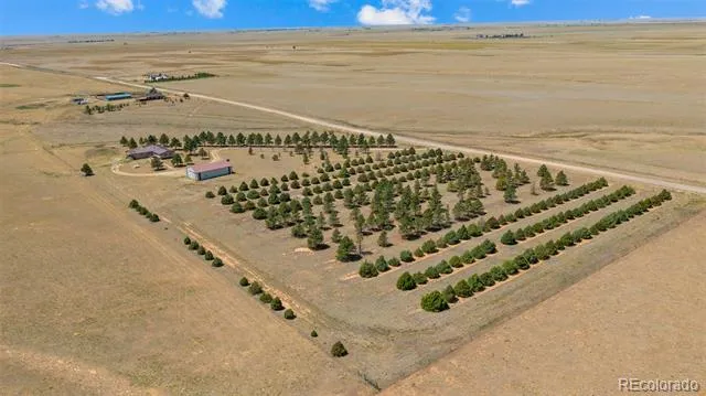 20402 County Road 2 Rush, CO 80833