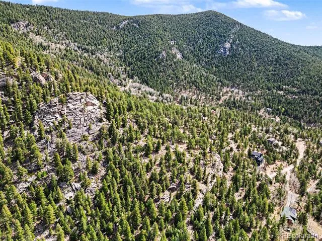 Spruce Court Evergreen, CO 80439