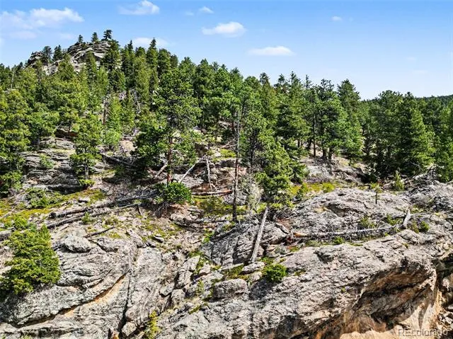 Spruce Court Evergreen, CO 80439
