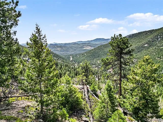 Spruce Court Evergreen, CO 80439