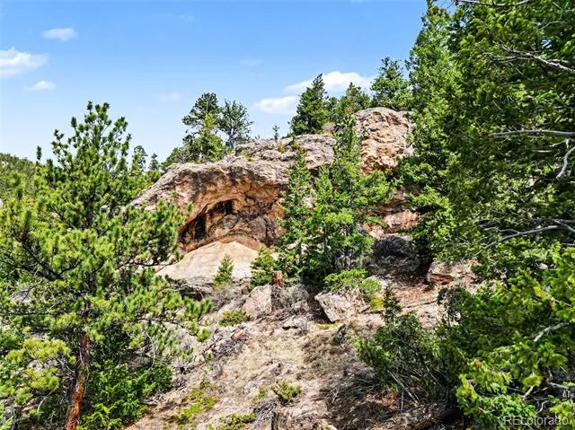 Spruce Court Evergreen, CO 80439