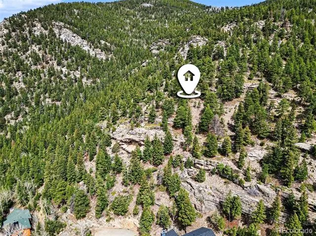 Spruce Court Evergreen, CO 80439