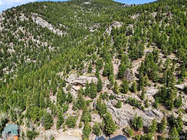 Spruce Court Evergreen, CO 80439