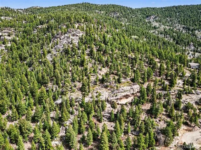 Spruce Court Evergreen, CO 80439