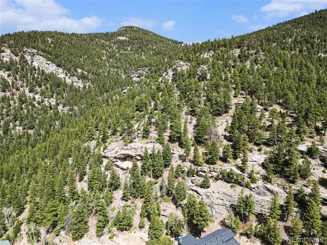 Spruce Court Evergreen, CO 80439