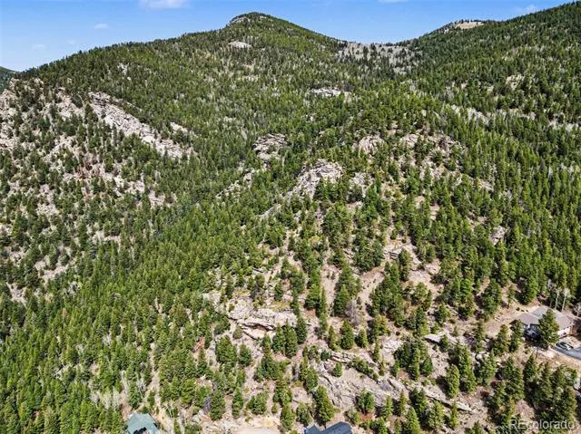 Spruce Court Evergreen, CO 80439