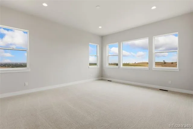 1613 Flourish Court Windsor, CO 80550