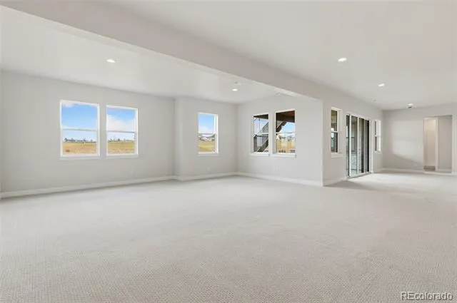 1613 Flourish Court Windsor, CO 80550