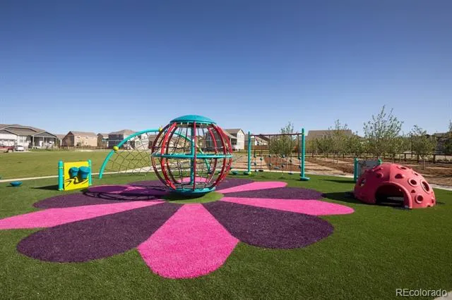 1613 Flourish Court Windsor, CO 80550