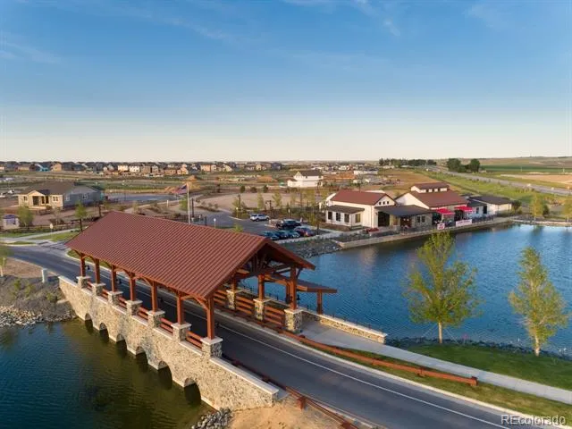1613 Flourish Court Windsor, CO 80550