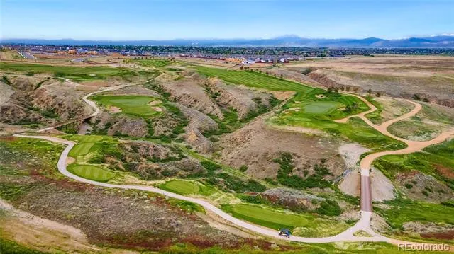 1613 Flourish Court Windsor, CO 80550