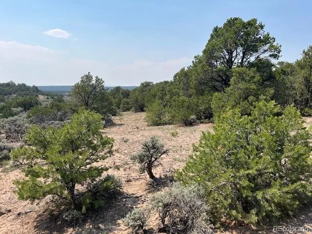 Lot 12 Bull Elk Trail San Luis, CO 81152