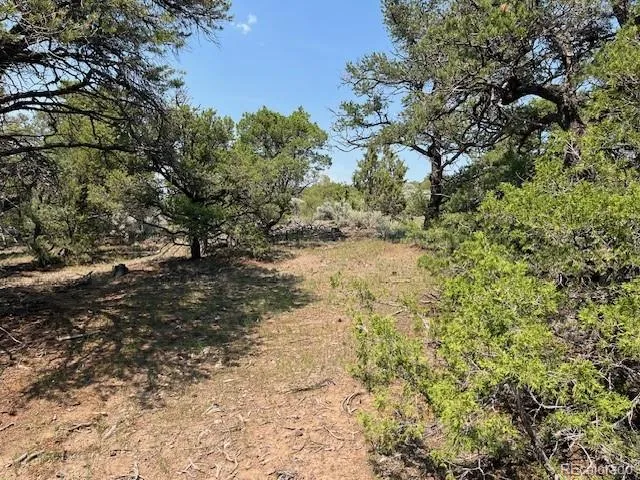 Lot 12 Bull Elk Trail San Luis, CO 81152