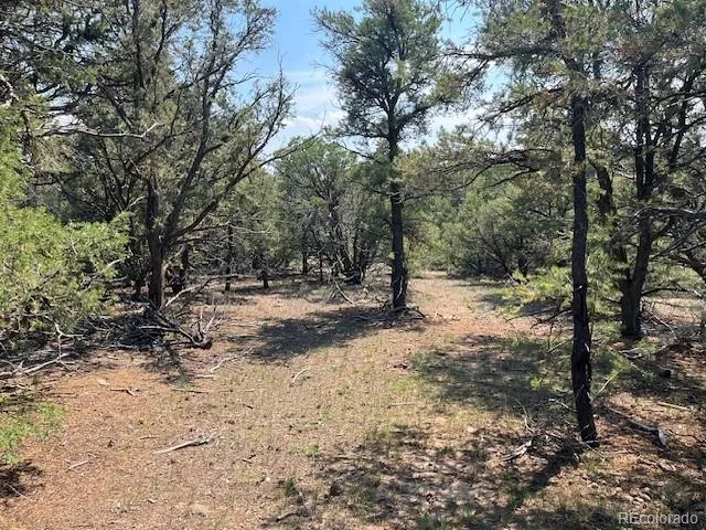 Lot 12 Bull Elk Trail San Luis, CO 81152