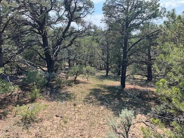 Lot 12 Bull Elk Trail San Luis, CO 81152