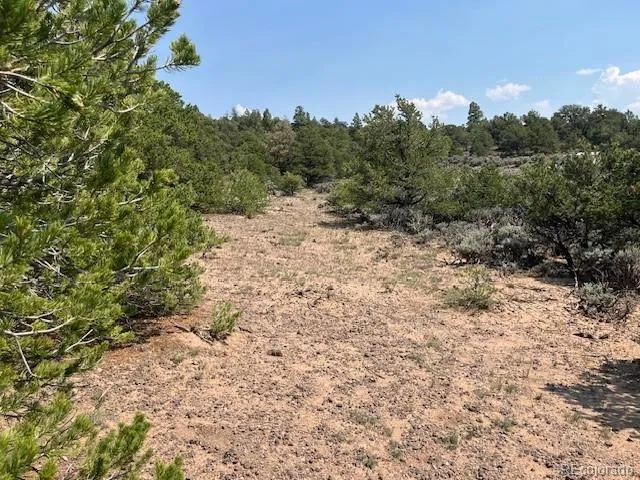 Lot 12 Bull Elk Trail San Luis, CO 81152