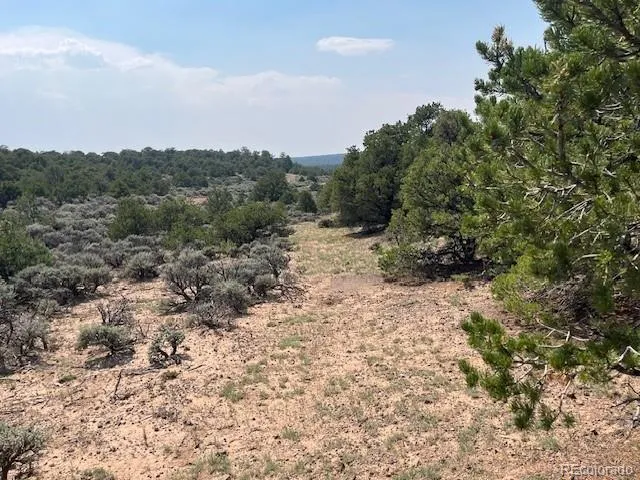 Lot 12 Bull Elk Trail San Luis, CO 81152