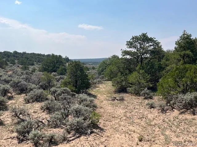 Lot 12 Bull Elk Trail San Luis, CO 81152