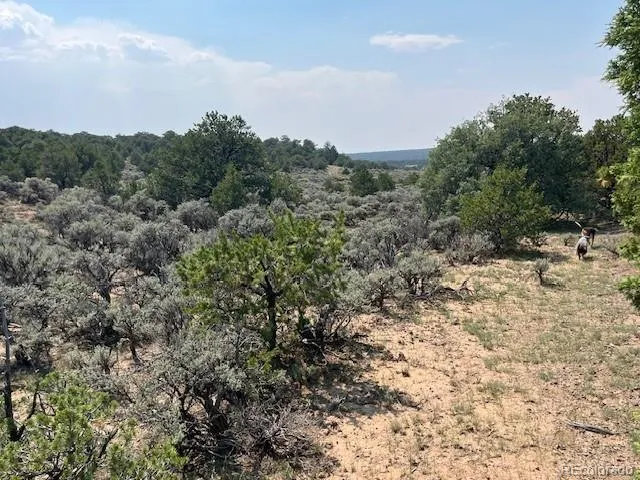 Lot 12 Bull Elk Trail San Luis, CO 81152