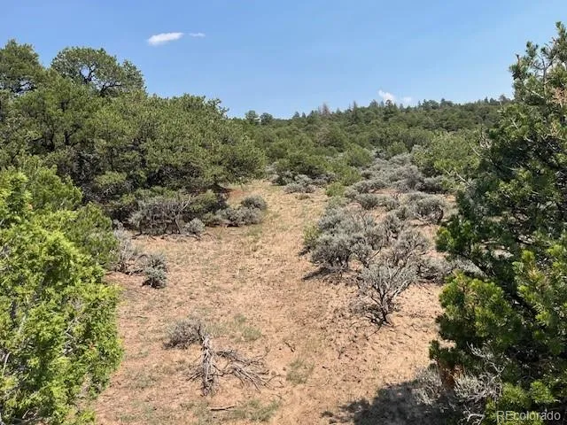 Lot 12 Bull Elk Trail San Luis, CO 81152