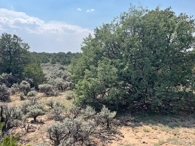 Lot 12 Bull Elk Trail San Luis, CO 81152