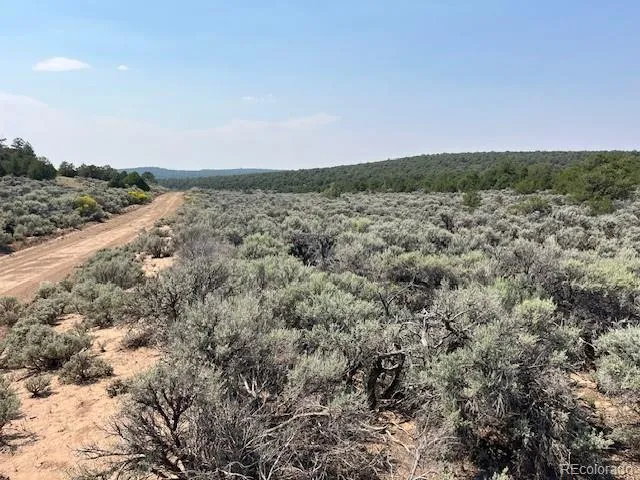 Lot 12 Bull Elk Trail San Luis, CO 81152