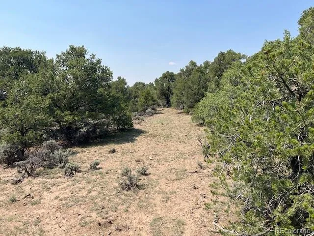 Lot 12 Bull Elk Trail San Luis, CO 81152