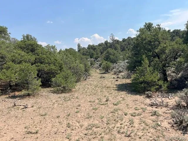 Lot 12 Bull Elk Trail San Luis, CO 81152