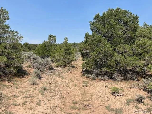 Lot 12 Bull Elk Trail San Luis, CO 81152