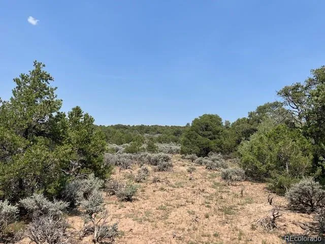 Lot 12 Bull Elk Trail San Luis, CO 81152