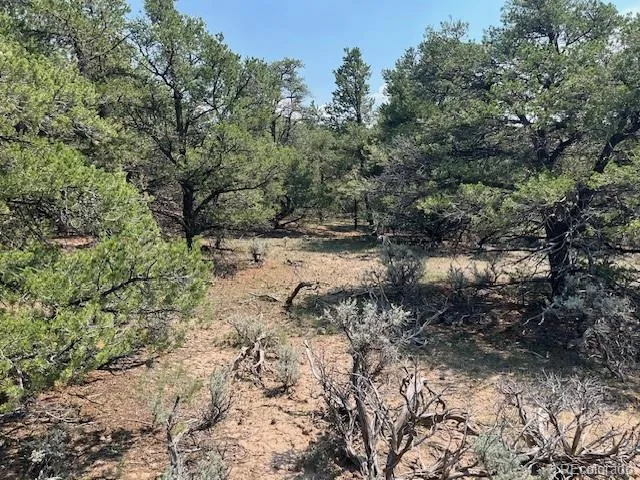 Lot 12 Bull Elk Trail San Luis, CO 81152